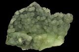 Botryoidal Forest-Green Prehnite - Patterson, New Jersey #127848-1